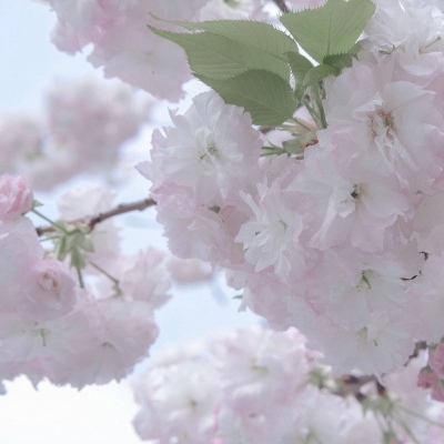 江门FurryQQ群介绍